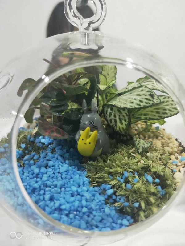 2019403博雅苑微景观DIY1