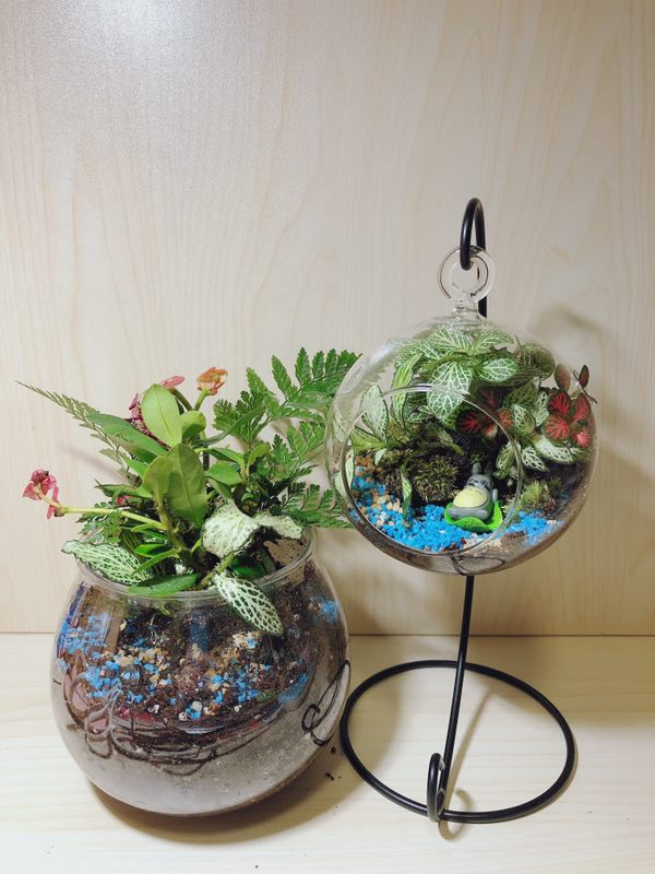 2019403博雅苑微景观DIY3