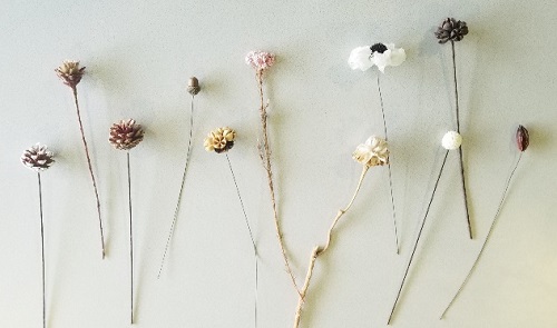 20181120博雅苑插花活动11