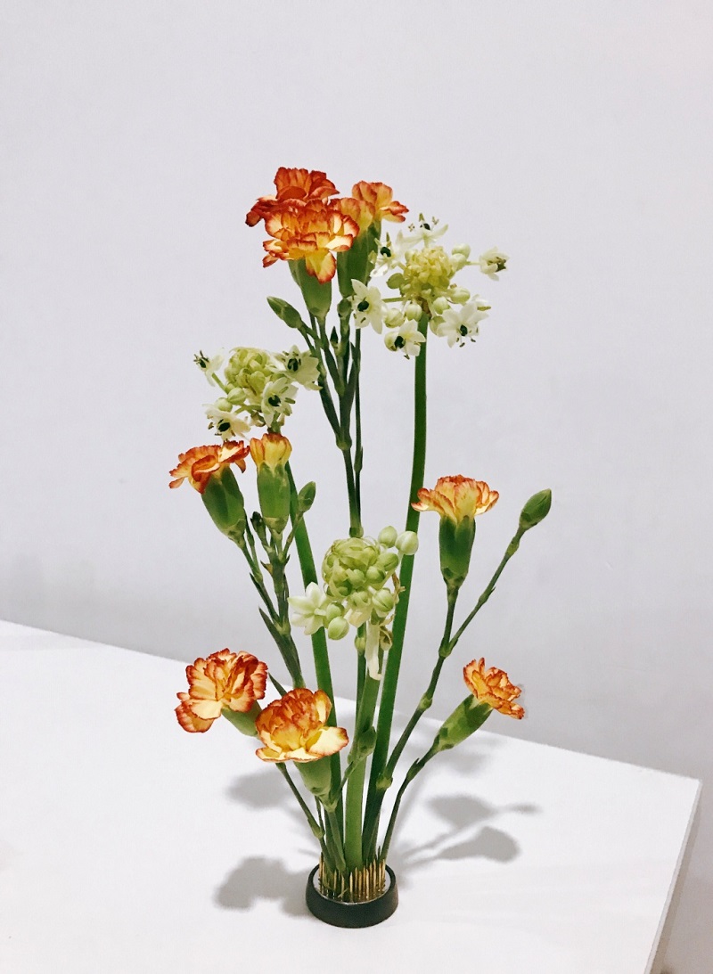 20190925博雅苑插花茶话会4